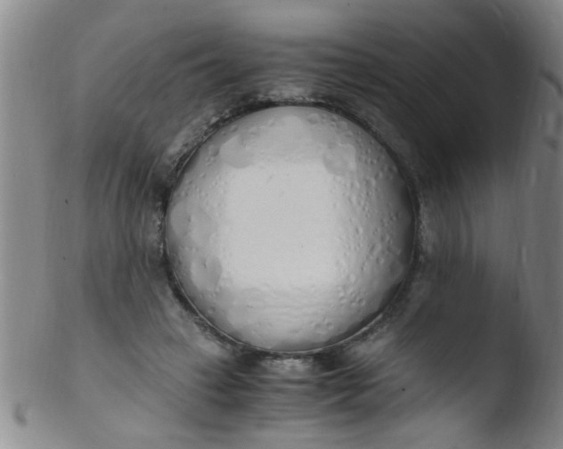 X0000103500449200809262017