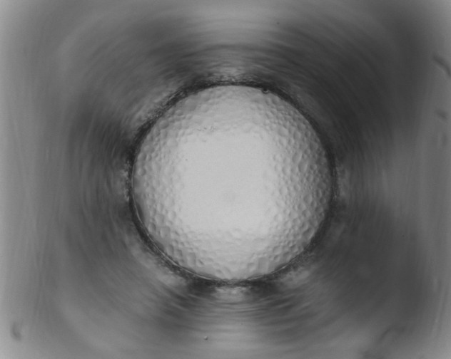 X0000103500450200809262017