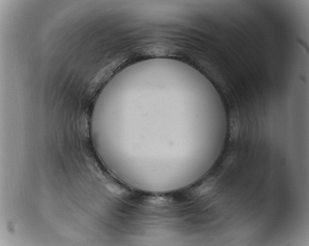 X0000103500453200809262017