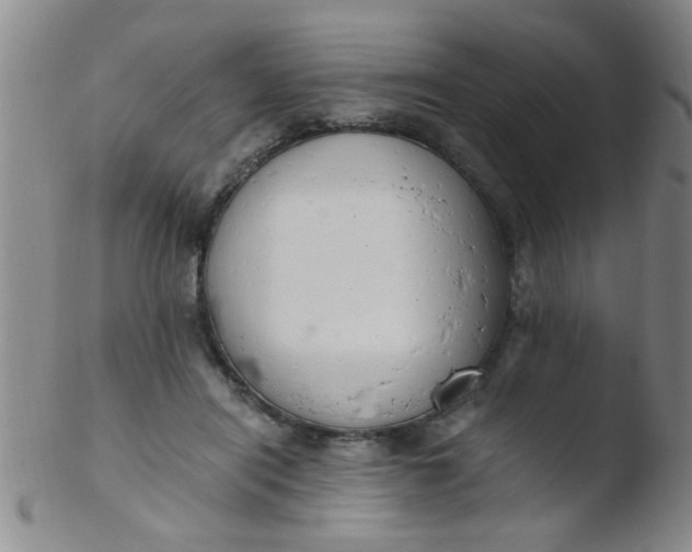 X0000103500454200809262017