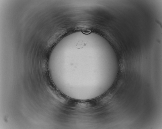 X0000103500455200809262017