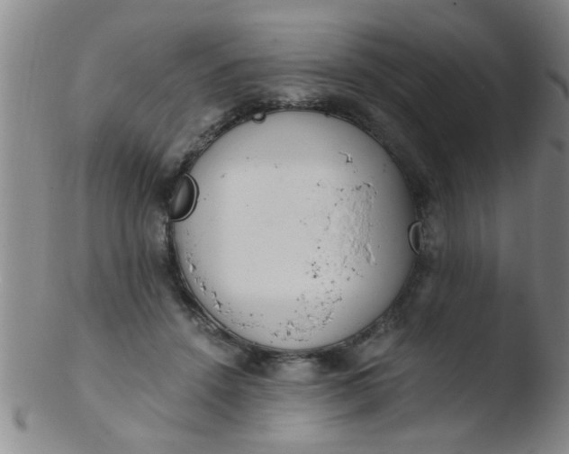 X0000103500456200809262017