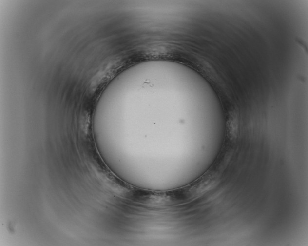 X0000103500458200809262017