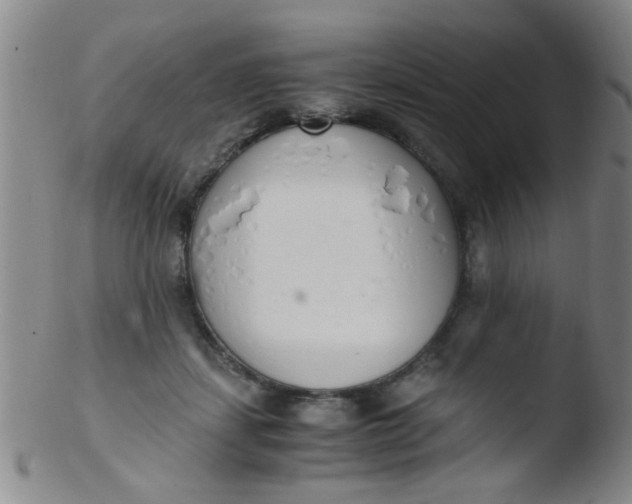 X0000103500459200809262017