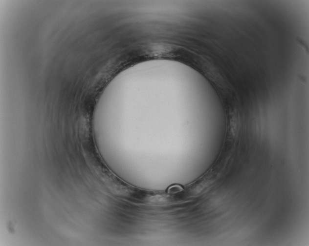 X0000103500461200809262017