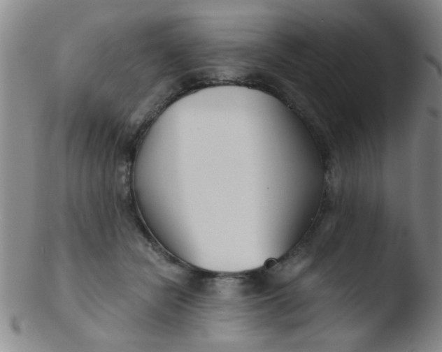 X0000103500462200809262017