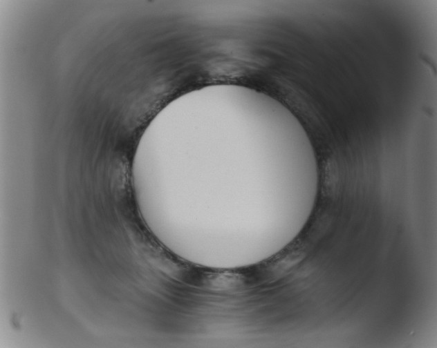 X0000103500463200809262017