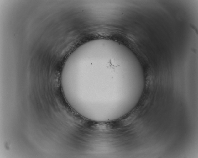 X0000103500464200809262017