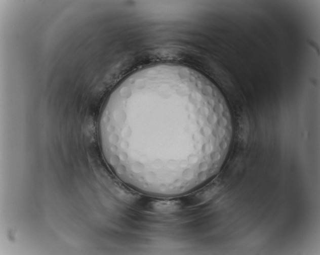 X0000103500465200809262017