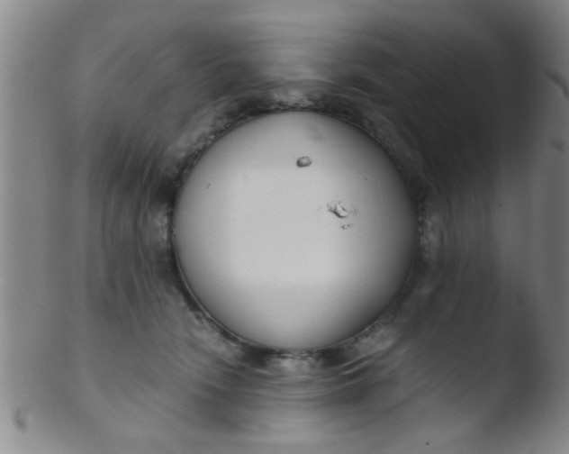 X0000103500466200809262017