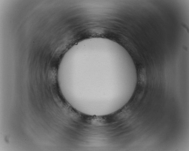 X0000103500468200809262017