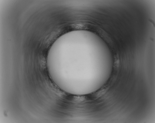 X0000103500469200809262017