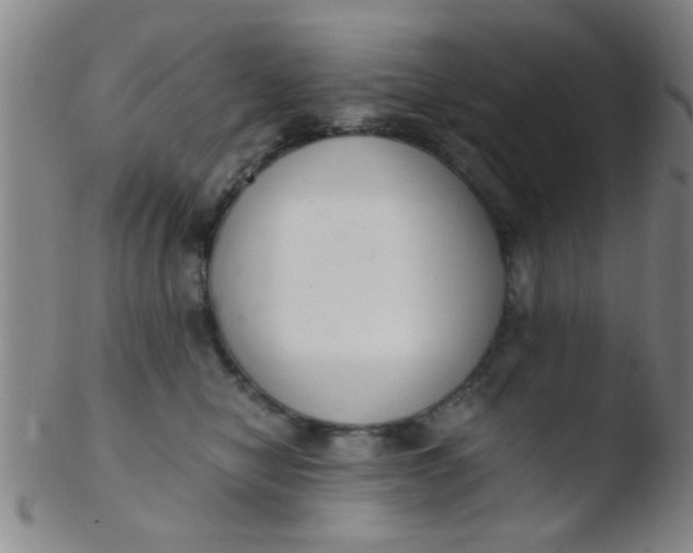 X0000103500470200809262017