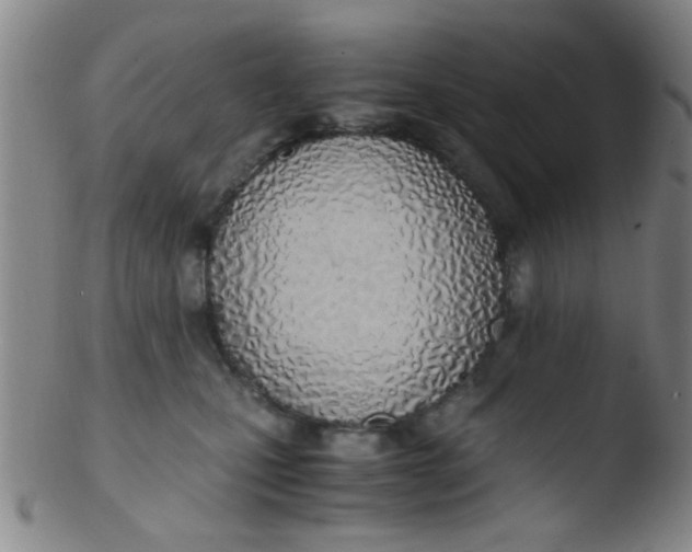 X0000103500471200809262018