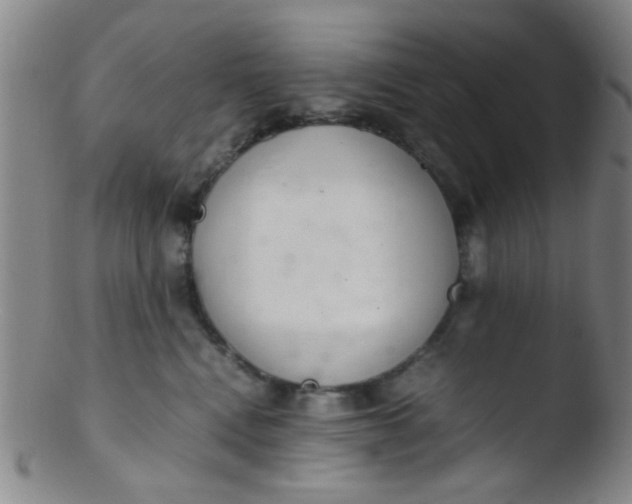 X0000103500472200809262018