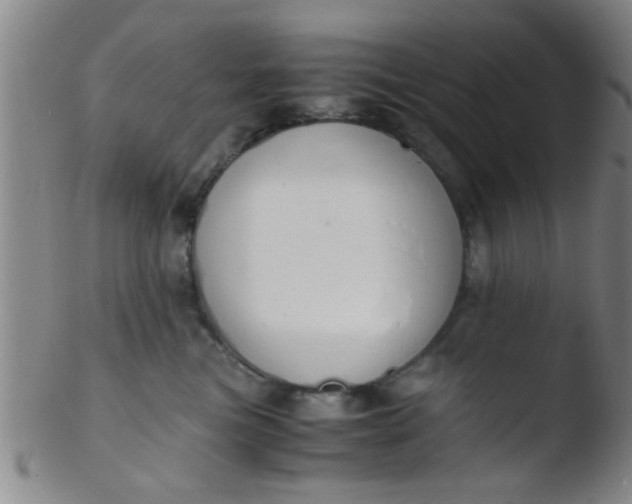 X0000103500473200809262018