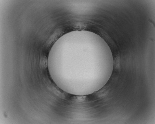 X0000103500474200809262018