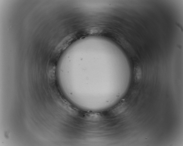 X0000103500475200809262018