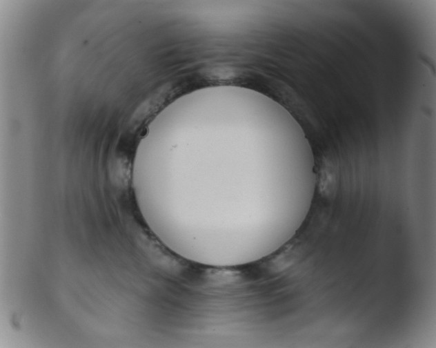 X0000103500476200809262018