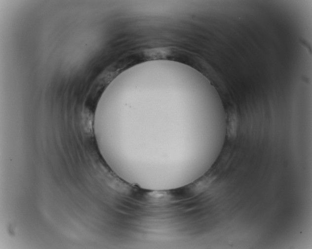 X0000103500477200809262018