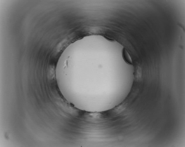 X0000103500478200809262018