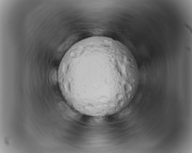 X0000103500479200809262018