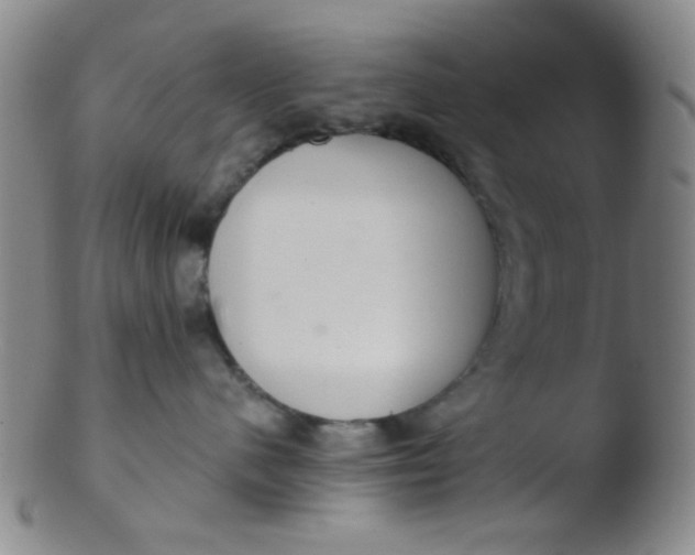 X0000103500480200809262018