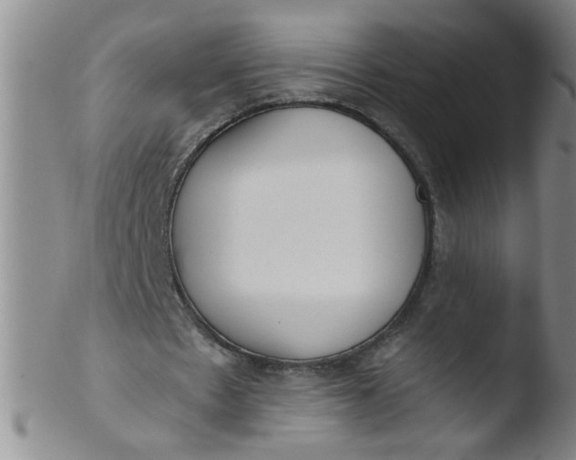 X0000103500481200809262017