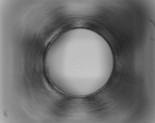 X0000103500482200809262017