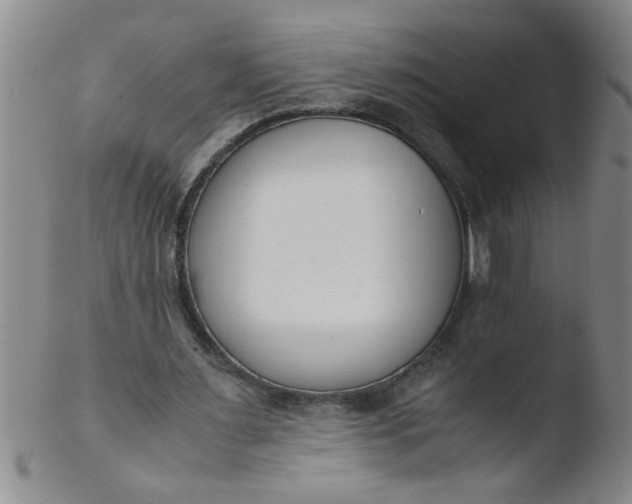 X0000103500483200809262017