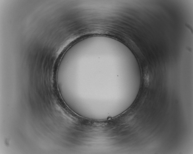 X0000103500484200809262017