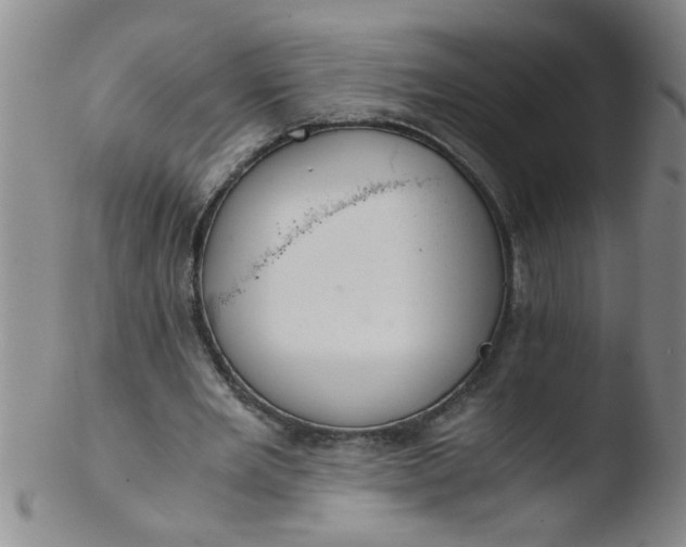 X0000103500485200809262017