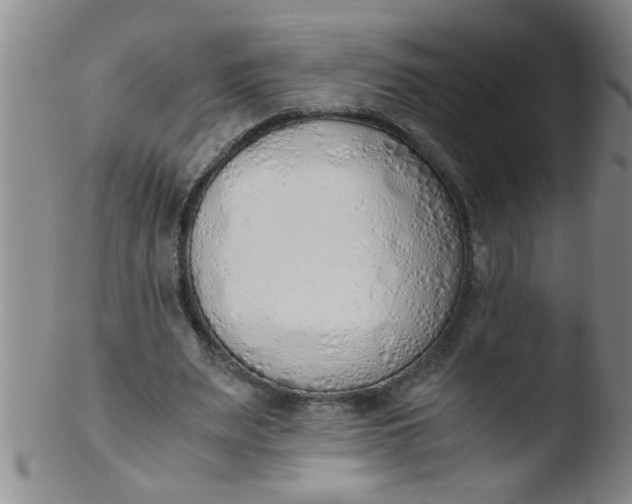 X0000103500487200809262017