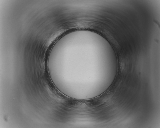 X0000103500488200809262017