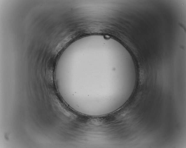 X0000103500489200809262017