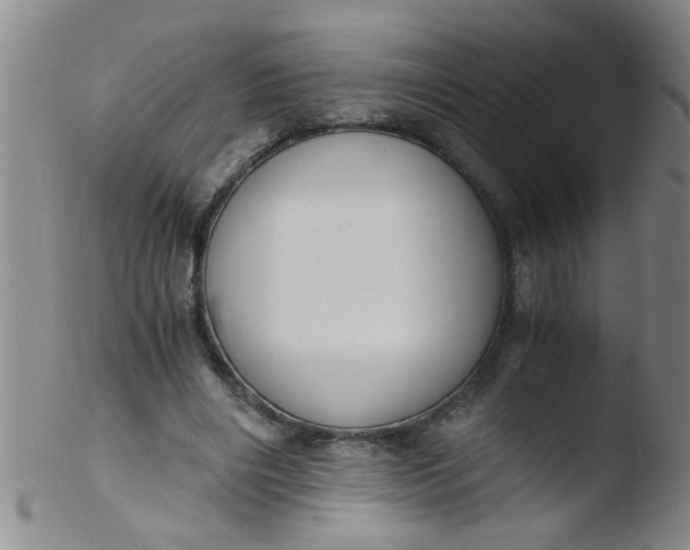 X0000103500490200809262017