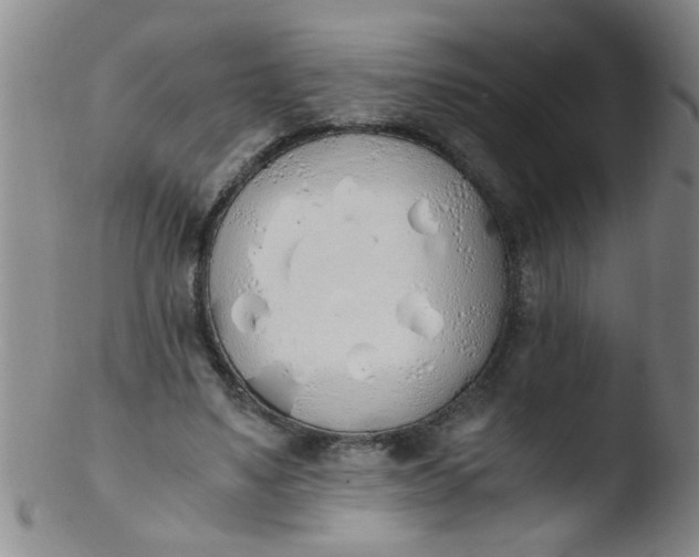 X0000103500491200809262017