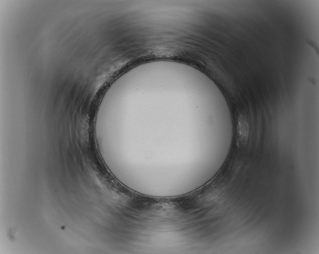 X0000103500492200809262017