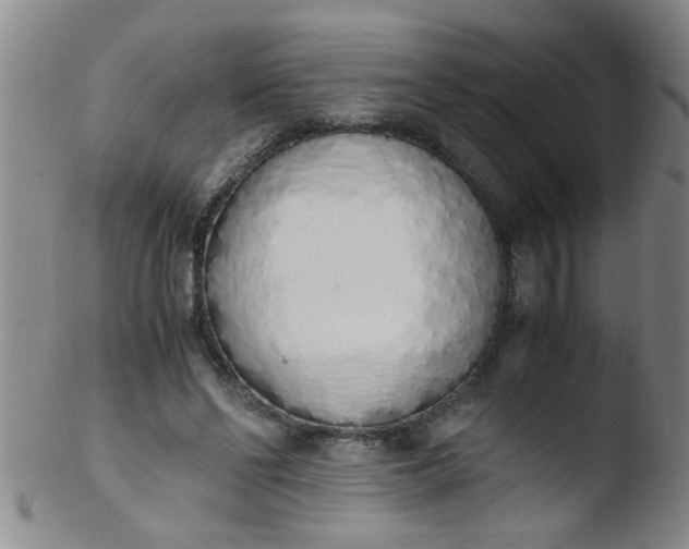 X0000103500494200809262017