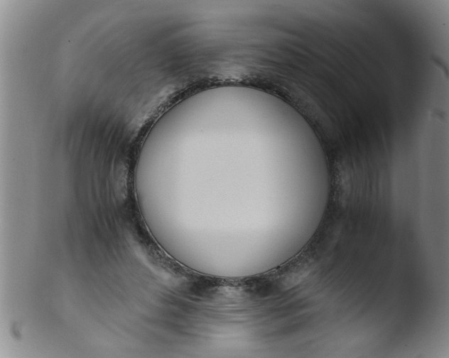 X0000103500496200809262017