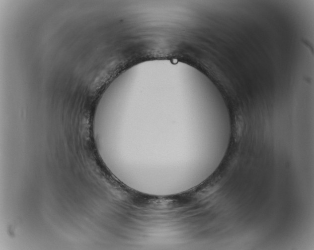 X0000103500497200809262017