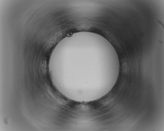 X0000103500498200809262017