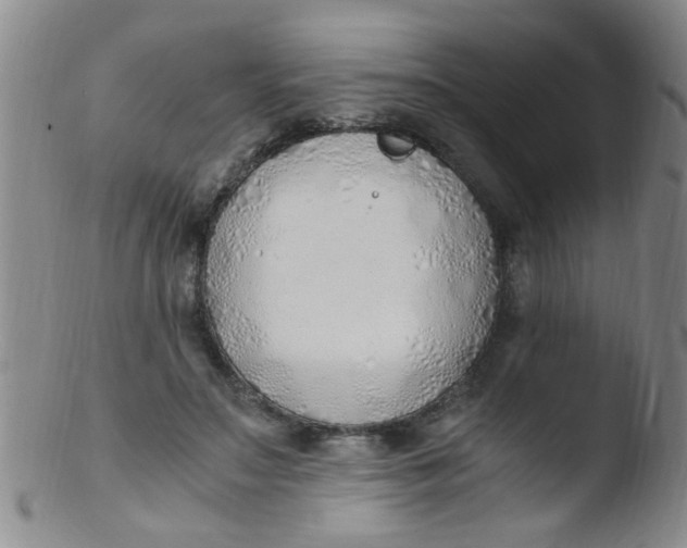 X0000103500499200809262017