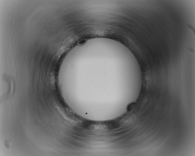 X0000103500500200809262017