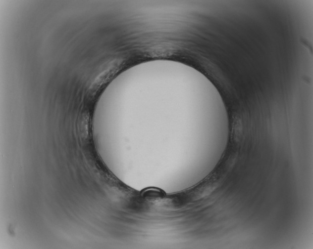 X0000103500501200809262017