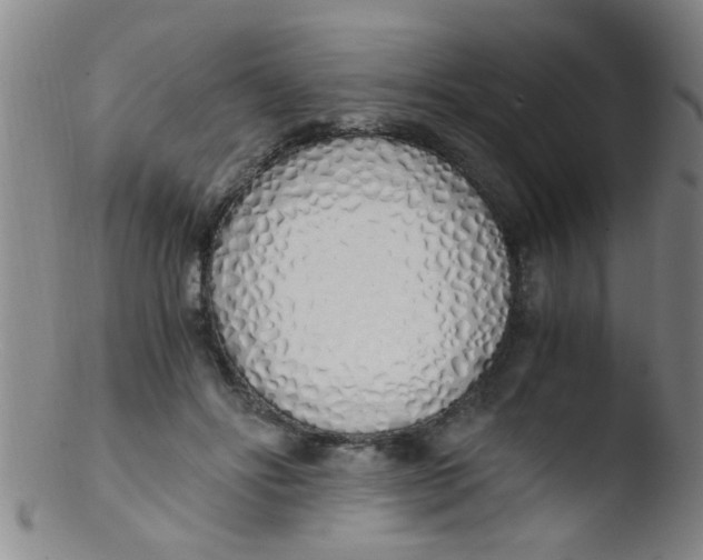 X0000103500502200809262017