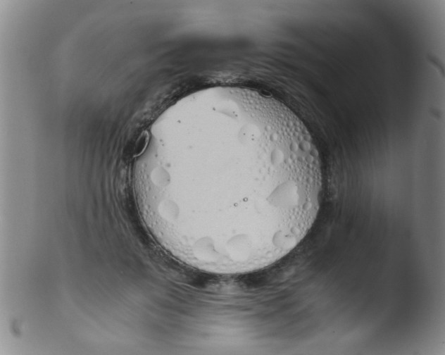 X0000103500503200809262017