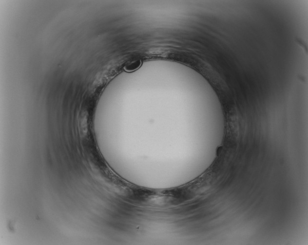 X0000103500504200809262016