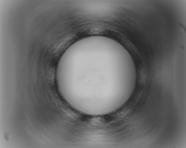 X0000103500505200809262016