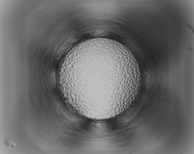 X0000103500506200809262016